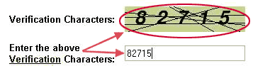 Verification Characters